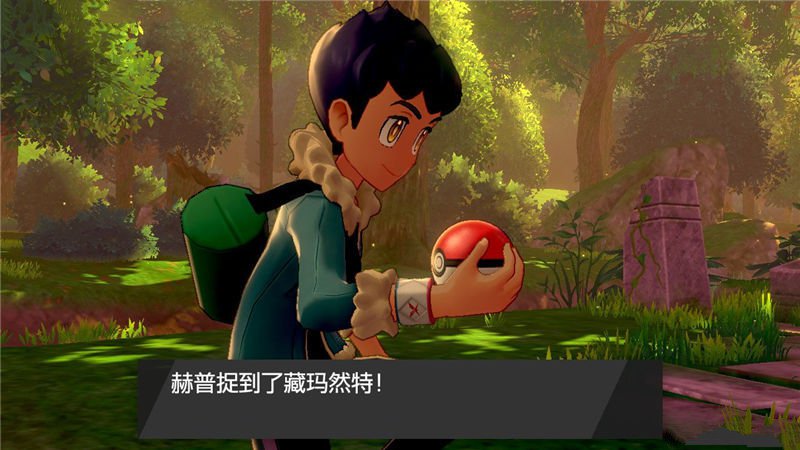 2021poke流维鲁斯出装_poke流维鲁斯配什么辅助_维鲁斯poke流