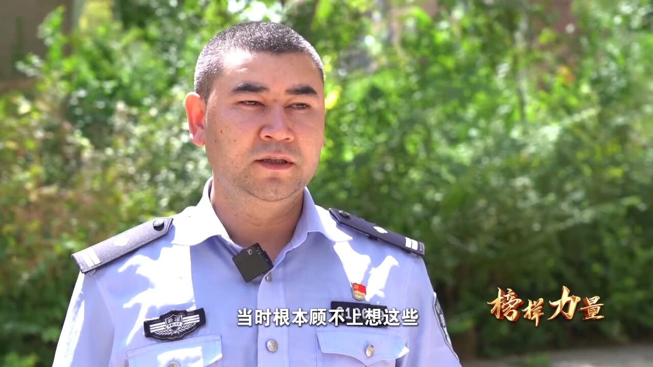 新疆的斗狗的视频_新疆斗狗比赛视频_新疆土狗斗狗