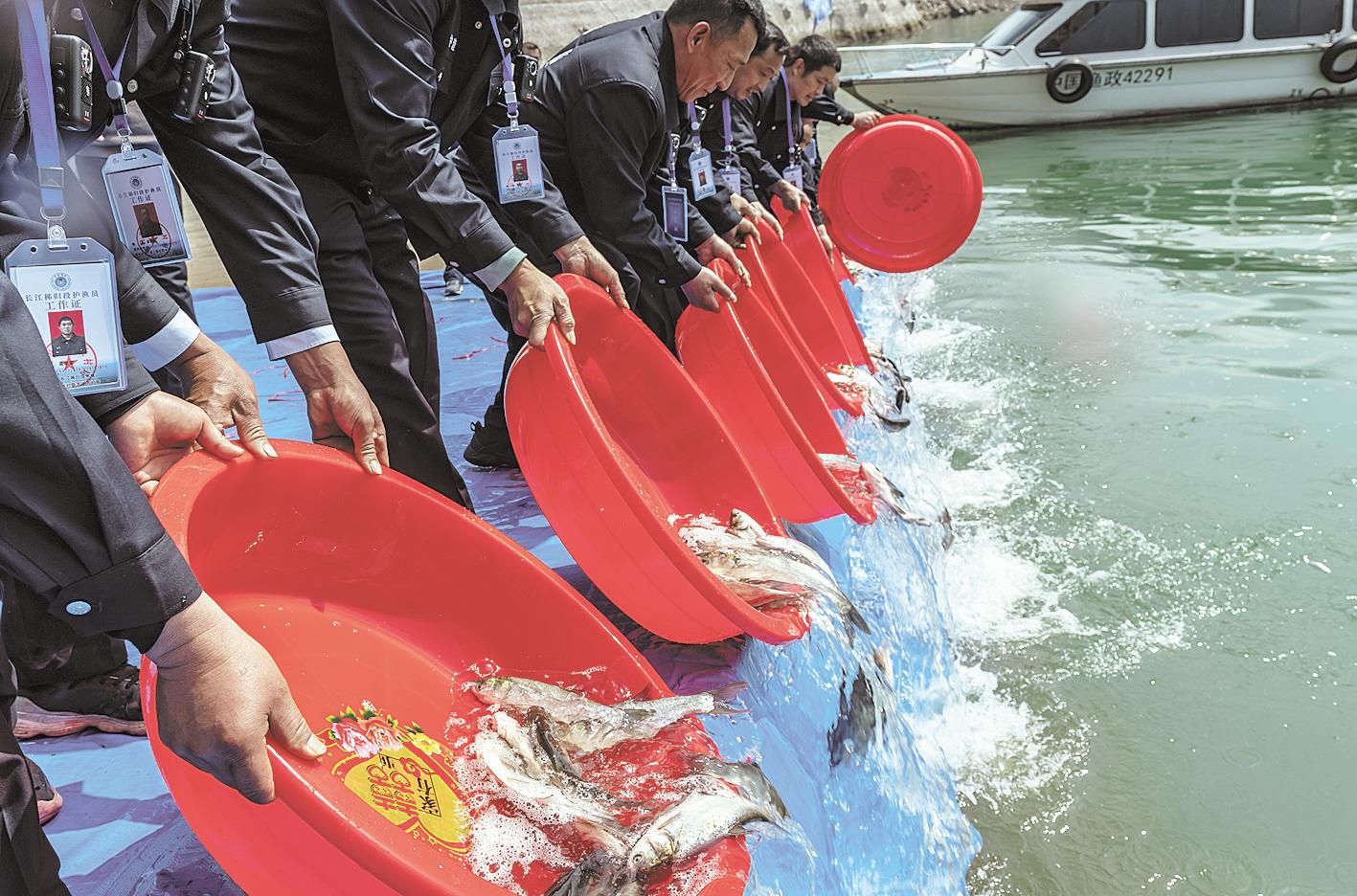 河南白雀园镇_河南白雀寺智印师父简历_河南白雀