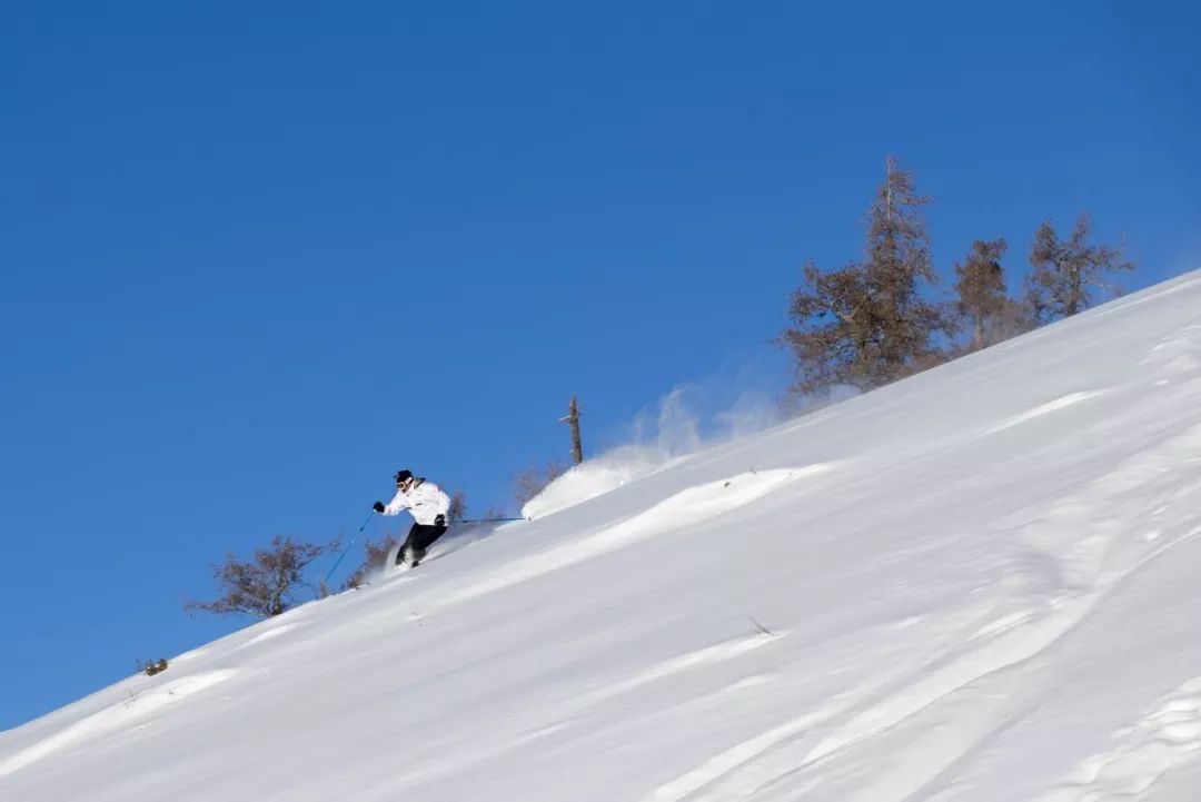 开罗游戏滑雪破解版_开罗滑雪场汉化版_开罗滑雪场汉化破解版