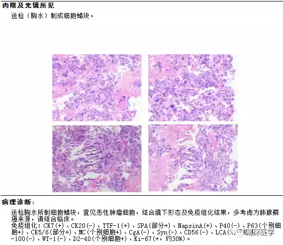 福建医科大学心肺听诊软件 丁香园-福建医科大学心肺听诊软件丁