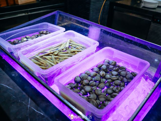 企鹅餐厅手机游戏攻略_3d企鹅餐3d企鹅餐厅_企鹅餐厅游戏中文版