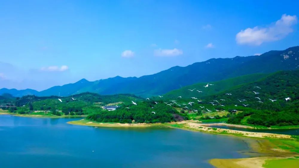 psp欲望学院鉴赏模式_psp欲望学院鉴赏模式_psp欲望学院鉴赏模式