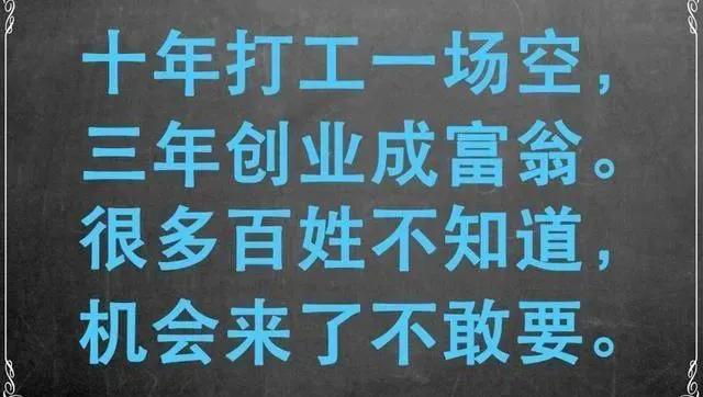 养猪场 游戏公司_养猪场游戏公司是指谁_养猪场游戏公司是哪个