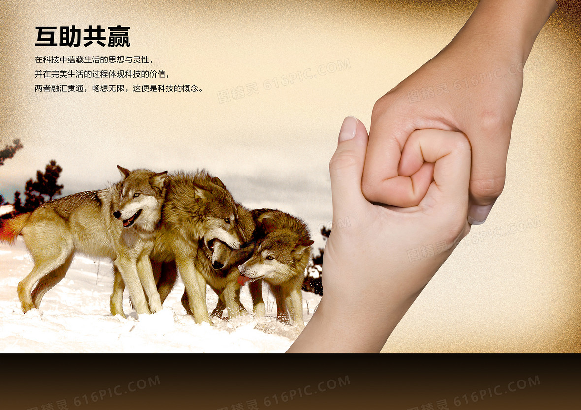 飞飞升级攻略_新飞飞等级经验_新飞飞怎么进阶