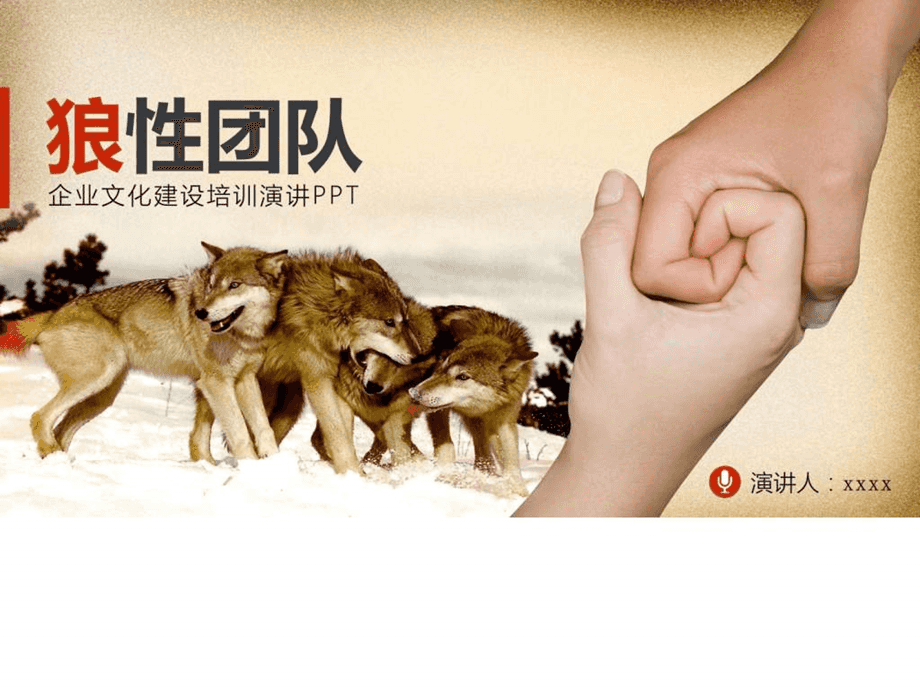 新飞飞等级经验_飞飞升级攻略_新飞飞怎么进阶