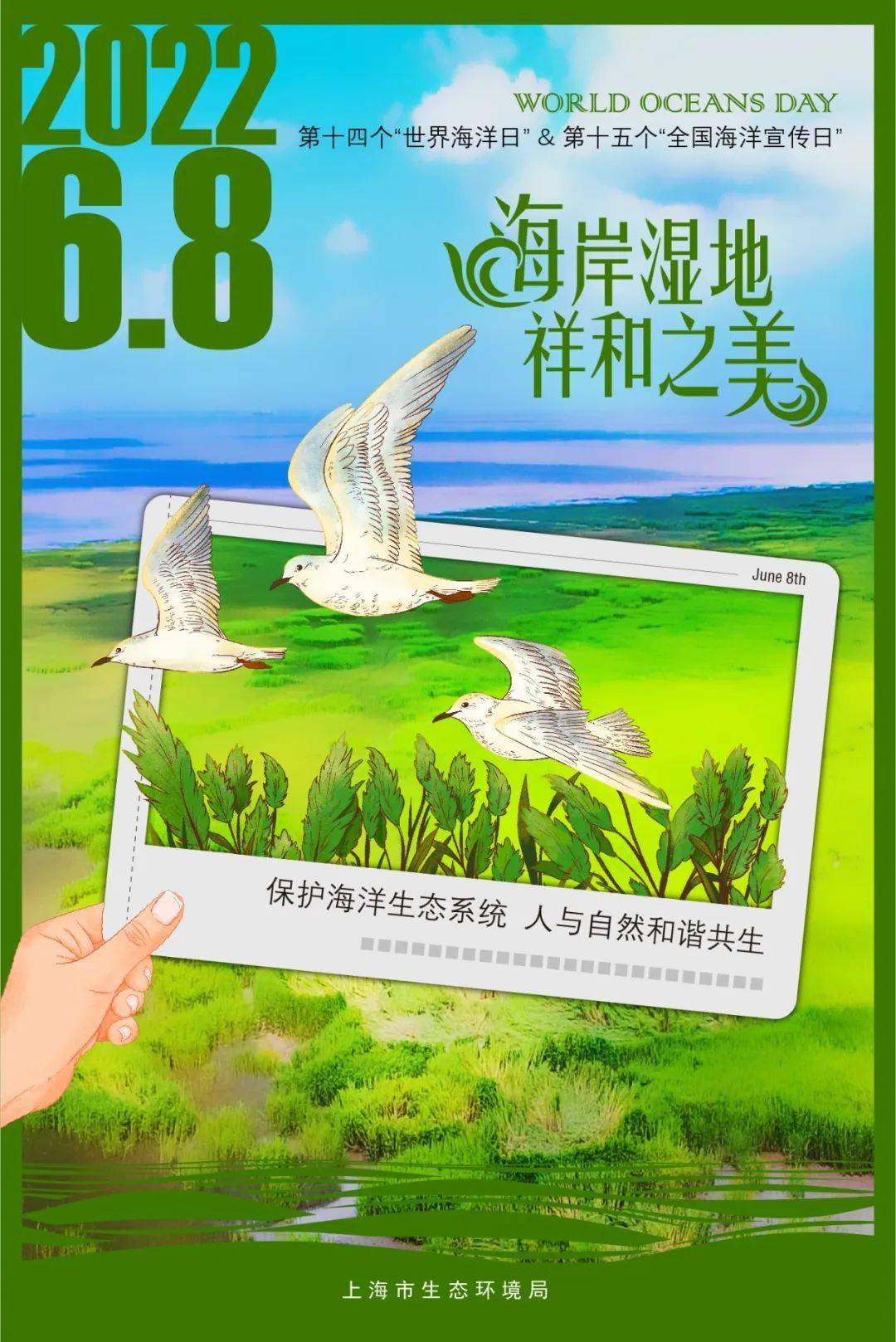 智慧岛动画片_智慧岛屿_智慧岛鱼油图片