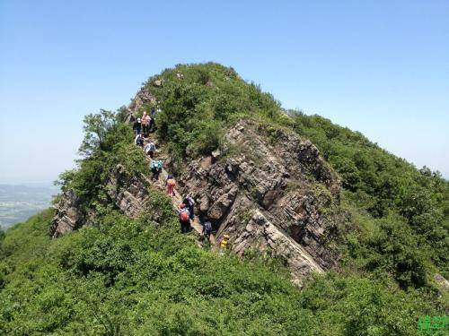 攀爬摩托车能跑多快_摩托跑车能爬山路吗_攀爬摩托车可以上牌吗