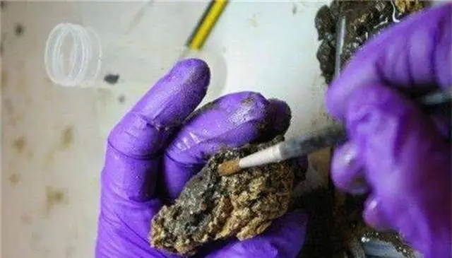 戚继光传修改器_戚继光传注释_戚继光武器改进