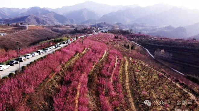 商丘市国道343最新消息_商丘市国道343工程招标_商丘国道封了吗