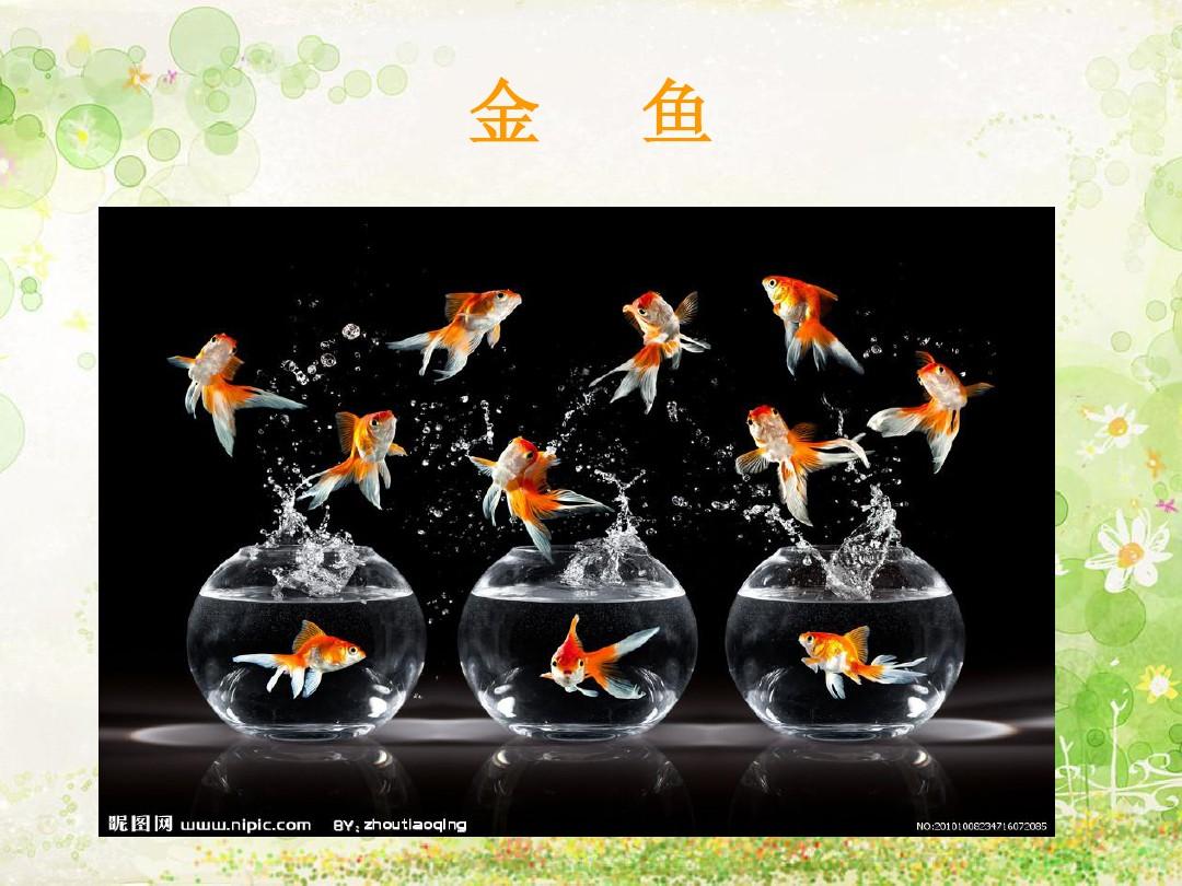 小猫钓鱼表演游戏观察记录推进_小猫钓鱼表演游戏_小猫钓鱼表演游戏三阶段