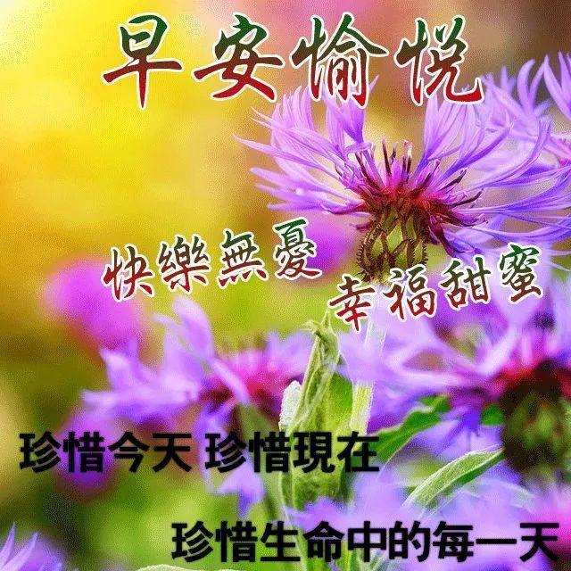 圣诞贺卡的英文_圣诞贺卡英语_圣诞贺卡