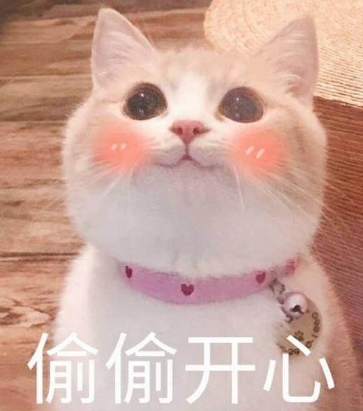 单机暴力摩托破解版_暴力摩托破解版_暴力摩托旧版单机破解版