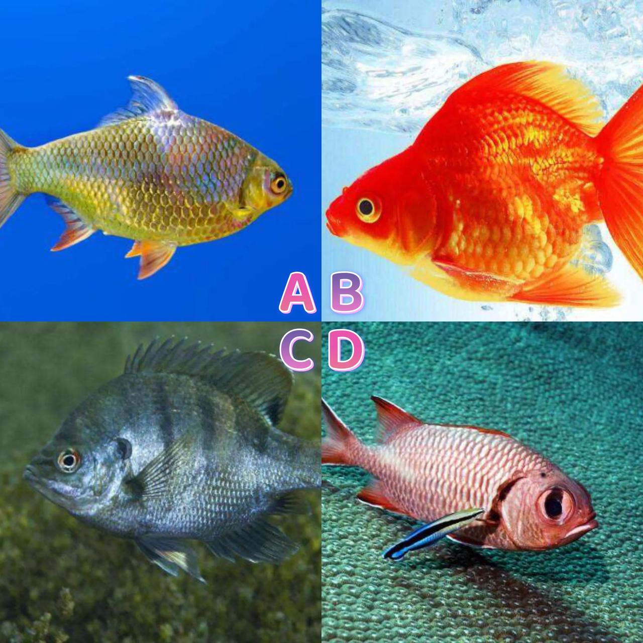 心理变态测试_变态心理测试题带答案_变态心理测试题免费