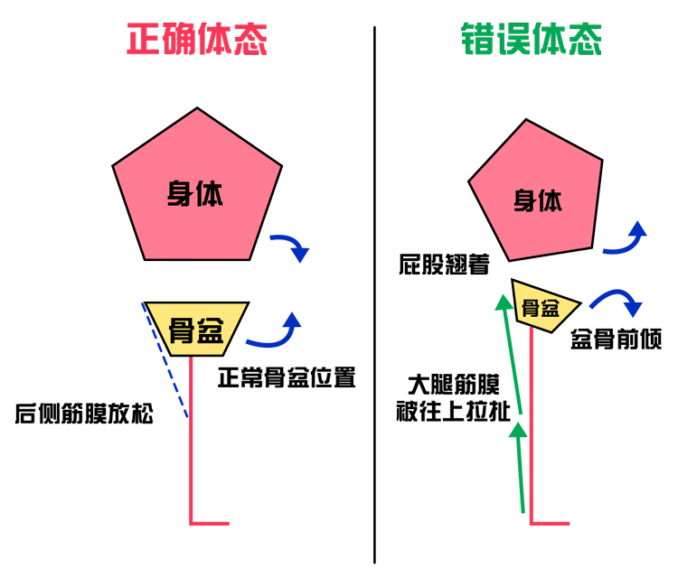 踢人屁股疼不疼_为什么腿踢不到屁股_为什么踢腿屁股根疼