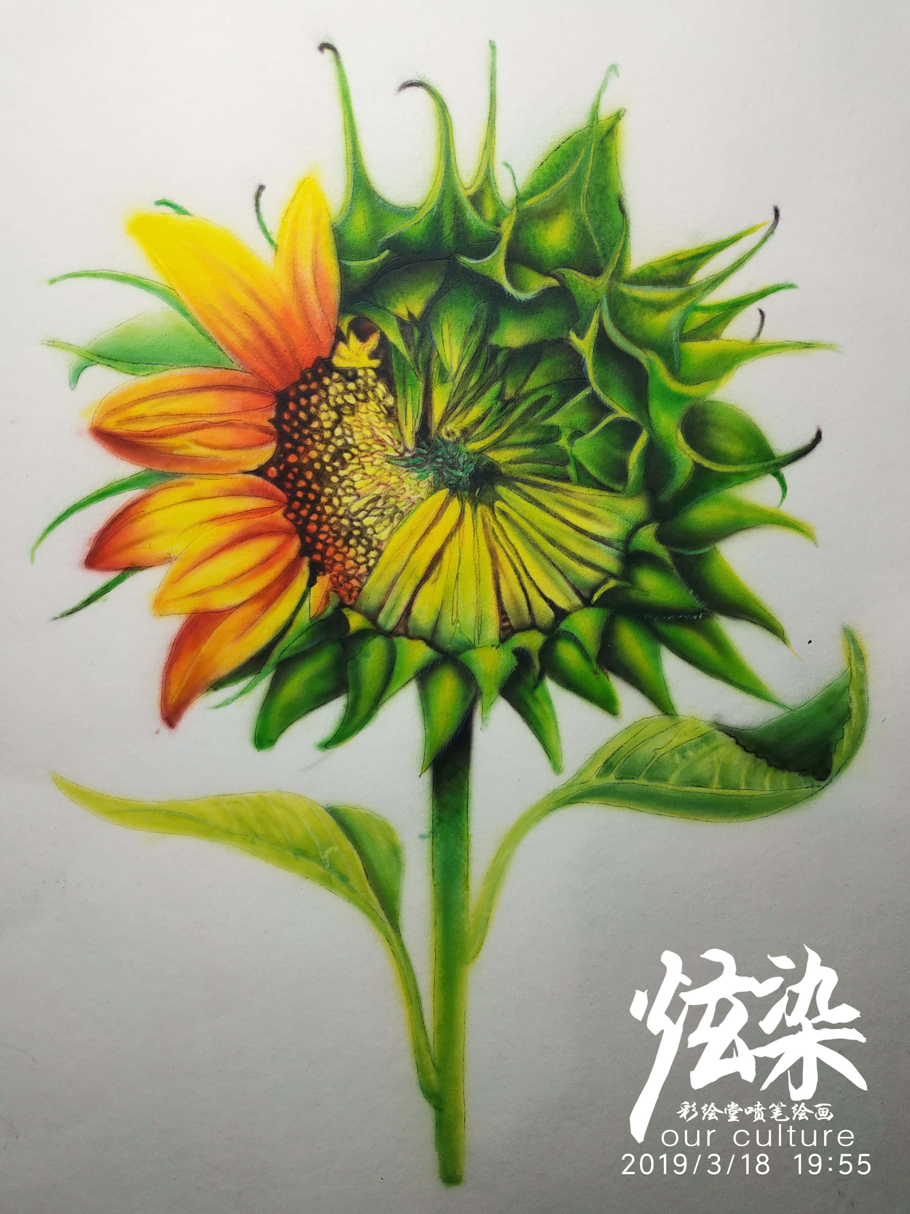 喷笔谱子大全新手入门_教程谱子喷笔怎么用_喷笔教程谱子