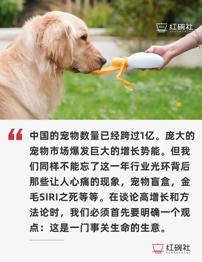 炫舞宠物天赋能改_天赋炫舞能宠物改颜色吗_炫舞宠物天赋分配表2021