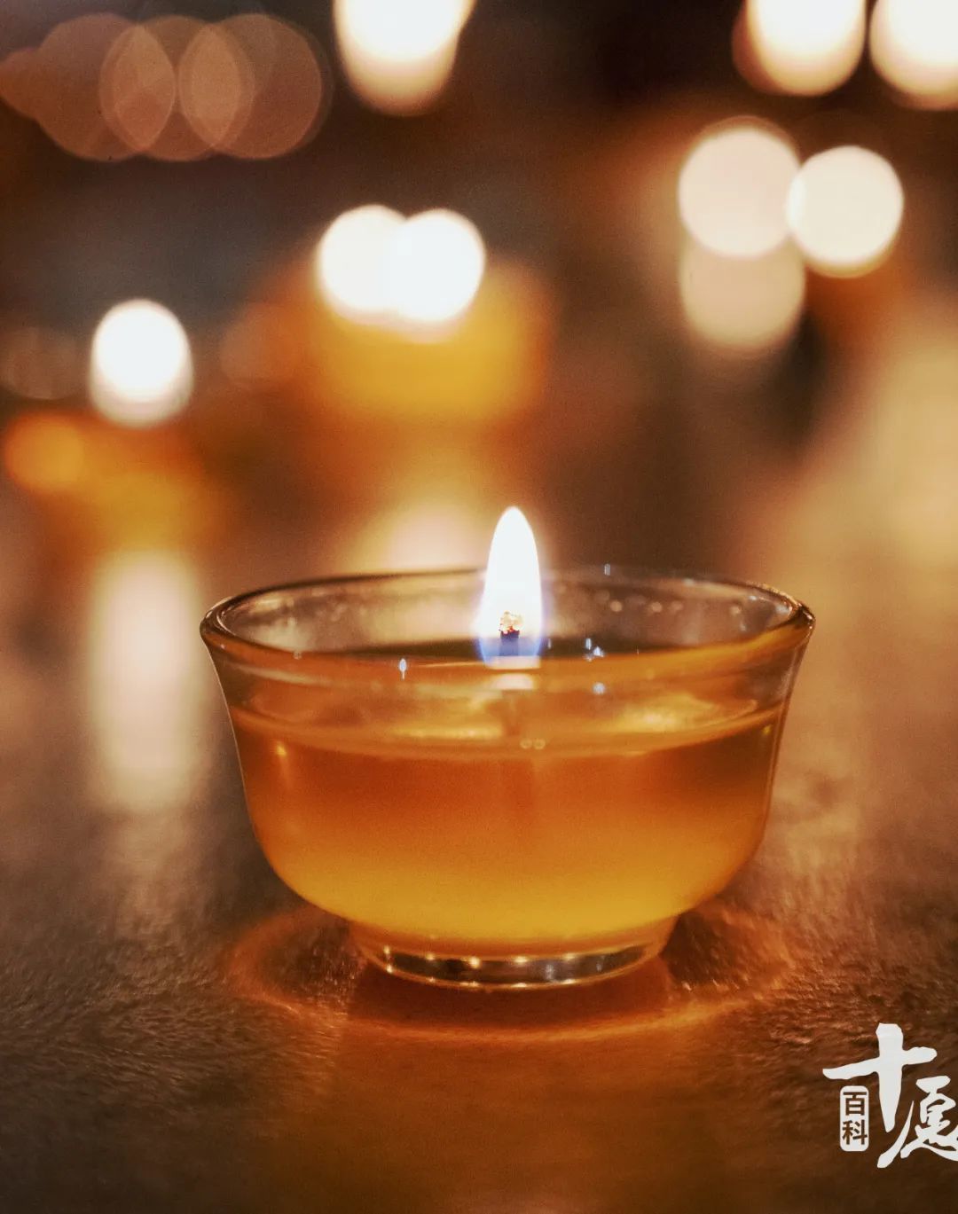 普贤王如来祈愿文_普贤王如来祈愿文汉文视频_普贤王如来祈愿文宗萨