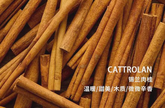 广州塔登顶门票多少钱_广州塔登塔门票_登广州塔价格