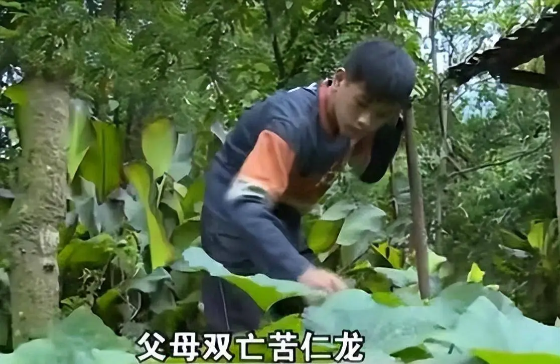 苗阜的相声满腹经纶_苗阜王声满腹经纶剧本_苗圃的相声满腹经纶