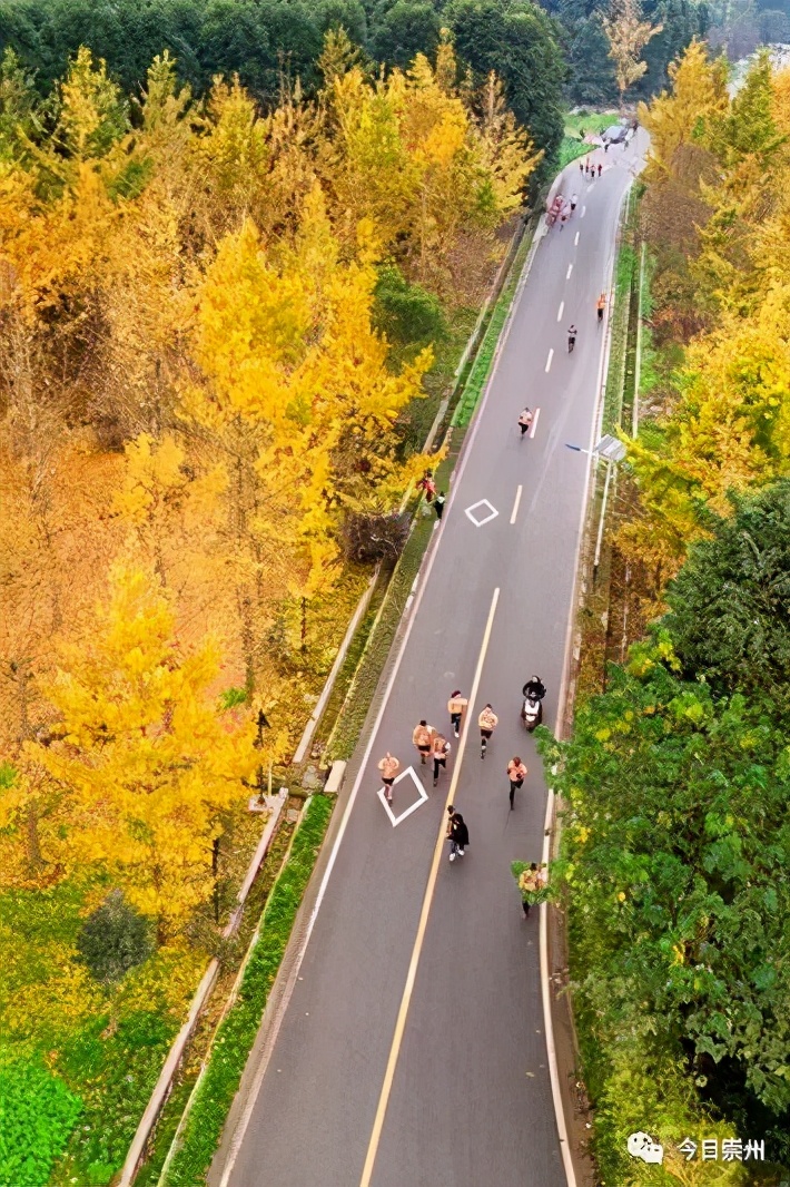 竹竿的基本跳法和玩法_跳竹竿游戏规则_跳竹竿游戏玩法规则