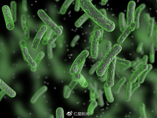 细菌战争是哪一年用了_细菌战争画面_细菌战争14