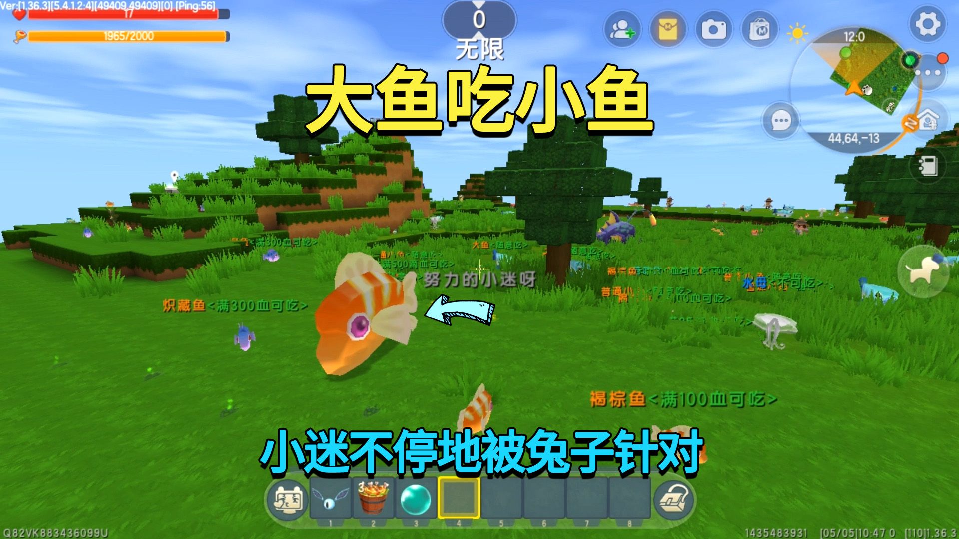 大鱼吃小鱼游戏版_小鱼吃大鱼游戏下载_大鱼吃小鱼小游戏单机