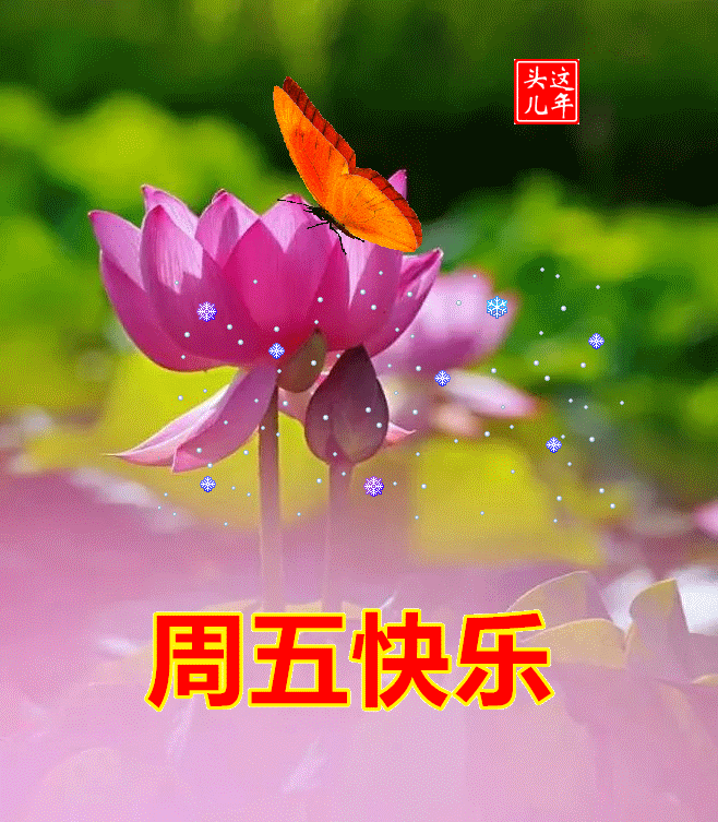 晨会游戏宝典_晨会游戏玩法_晨会游戏简单好玩