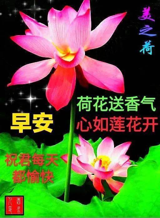 晨会游戏宝典_晨会游戏玩法_晨会游戏简单好玩