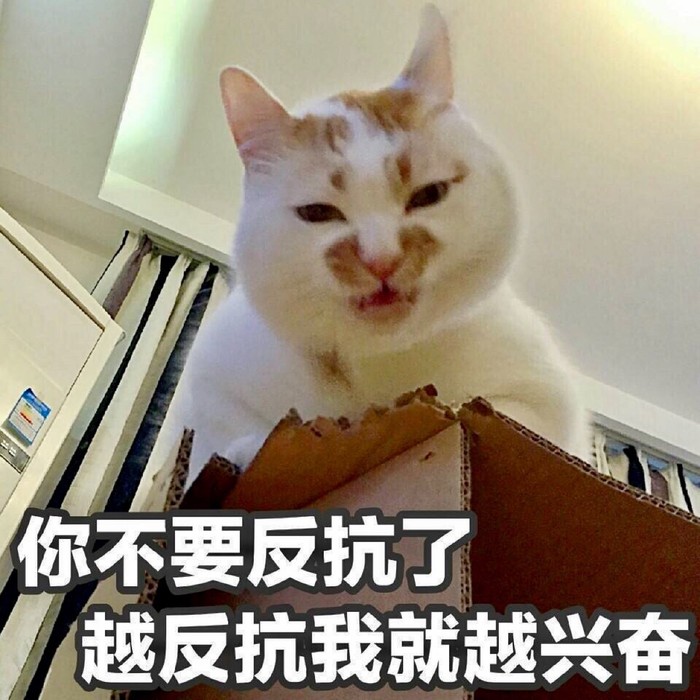 血流麻将番数_麻将血流到底玩法_麻将血流怎么算倍数