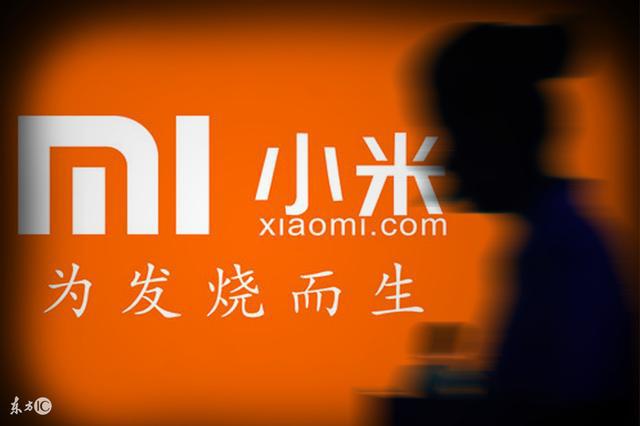 小米饥饿营销的启示_小米的饥饿营销看法_小米的饥饿营销案例