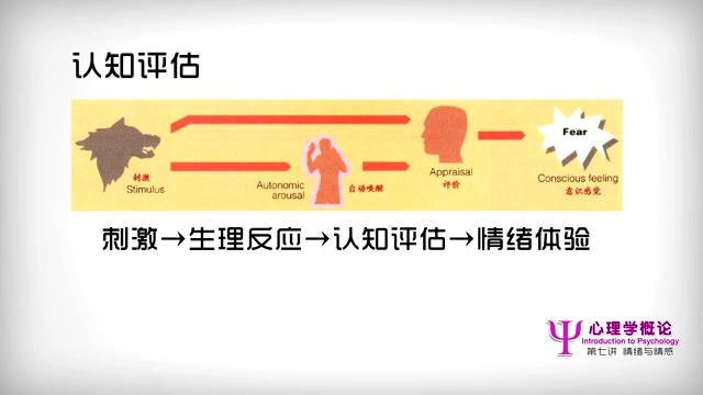 儿童心理问题评估与诊断_儿童心理问题评估_儿童心理评估的常用方法有哪些