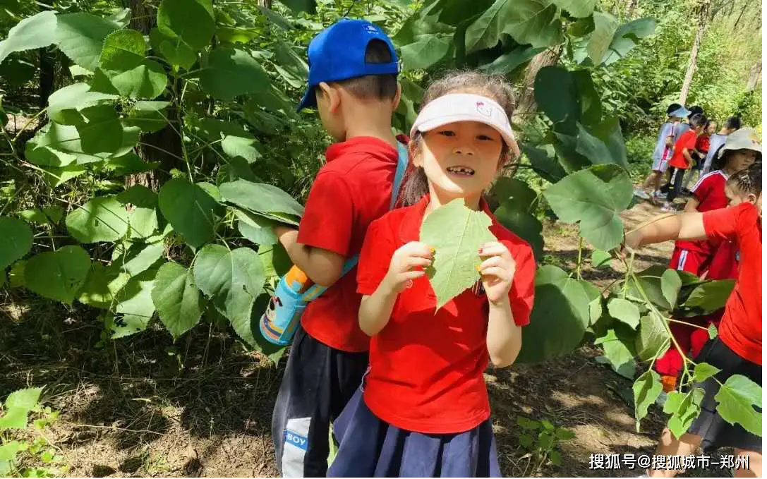 昆虫总动员游戏：小昆虫大冒险，带你体验微观世界的奇妙之旅