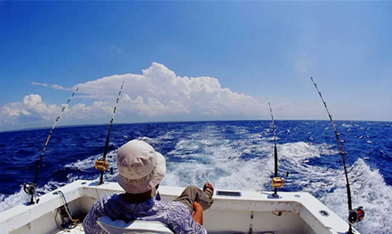 海竿钓鱼视频高清_钓鱼视频海竿野钓实战全集视频_海竿钓鱼视频