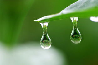 gles 雨滴