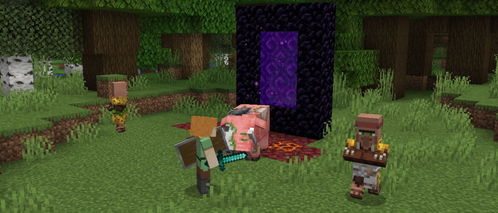 minecraft 1.16.5 更新乐啥,minecraft官网