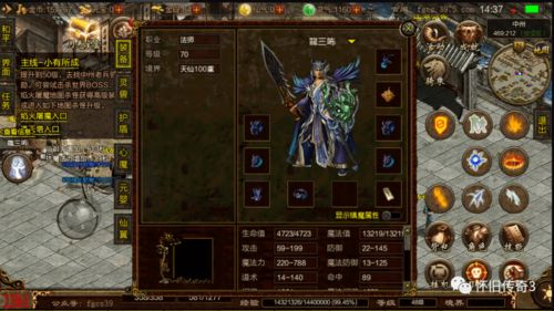 传奇世界gs,重温经典，探索新篇章