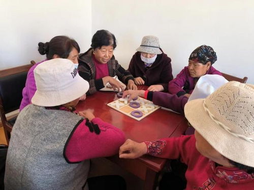 老年游戏活动大全,丰富晚年生活，乐享健康时光