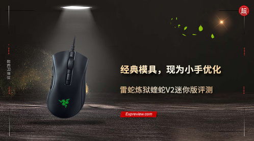 蝰蛇游戏版,电竞玩家的终极选择