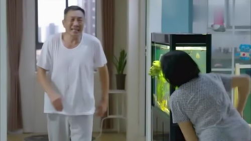老伴打游戏,老伴携手游戏，共度欢乐时光