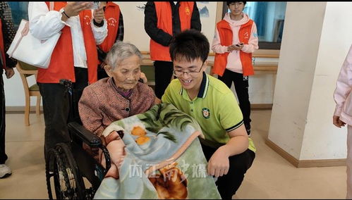 老人做游戏,快乐与健康同行