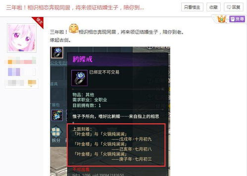 老婆游戏删档,开发团队的坚持与挑战
