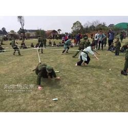 拉力绳游戏,团队协作的活力之源