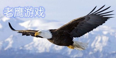老鹰下游戏