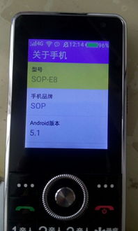 老人机怎么下游戏,老人机如何下载游戏
