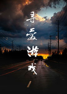 类似寻爱游戏的小说