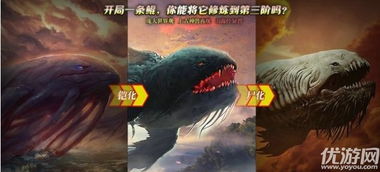 鲲修炼游戏,游戏背景