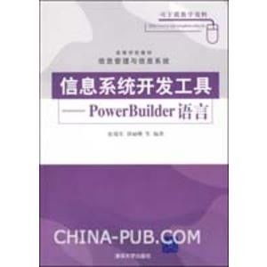 信息系统开发工具课件,信息系统开发工具应用概述