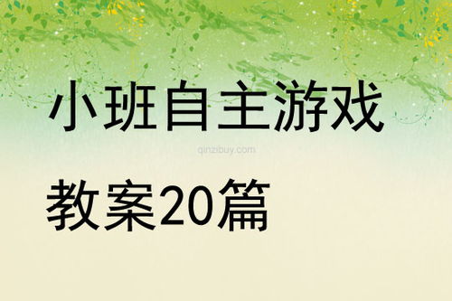 小班区域自主游戏教案,探索与成长的快乐时光