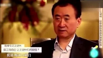 王健林游戏,从商业巨头到游戏新锐的华丽转身